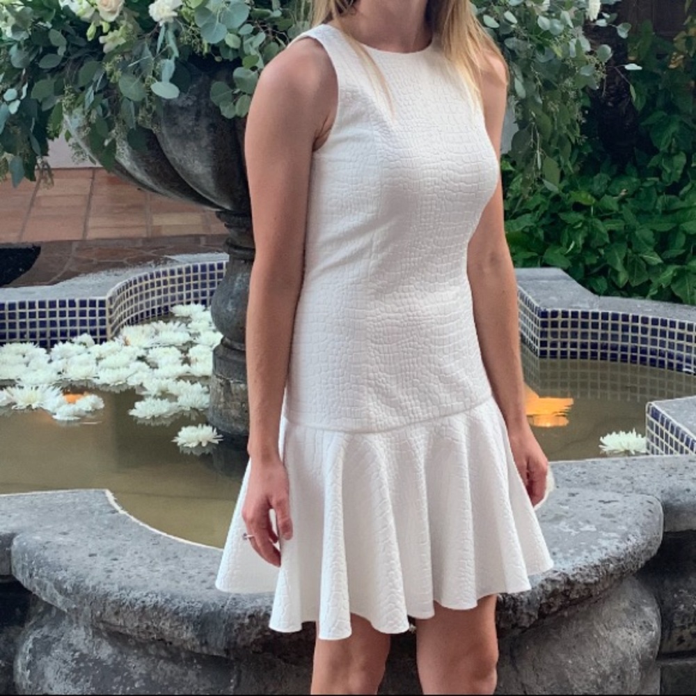 Jay Godfrey Dress 👗 - Picture 1 of 4